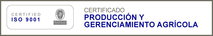 norma iso 9001