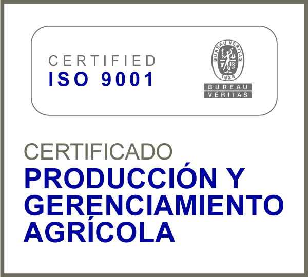 norma iso 9001